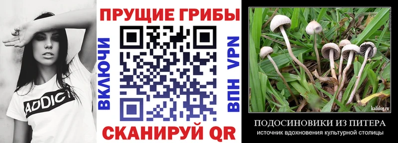 Псилоцибиновые грибы Magic Shrooms  Юхнов 
